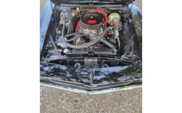 Chevrolet-Camaro-1969-Black-Black-21