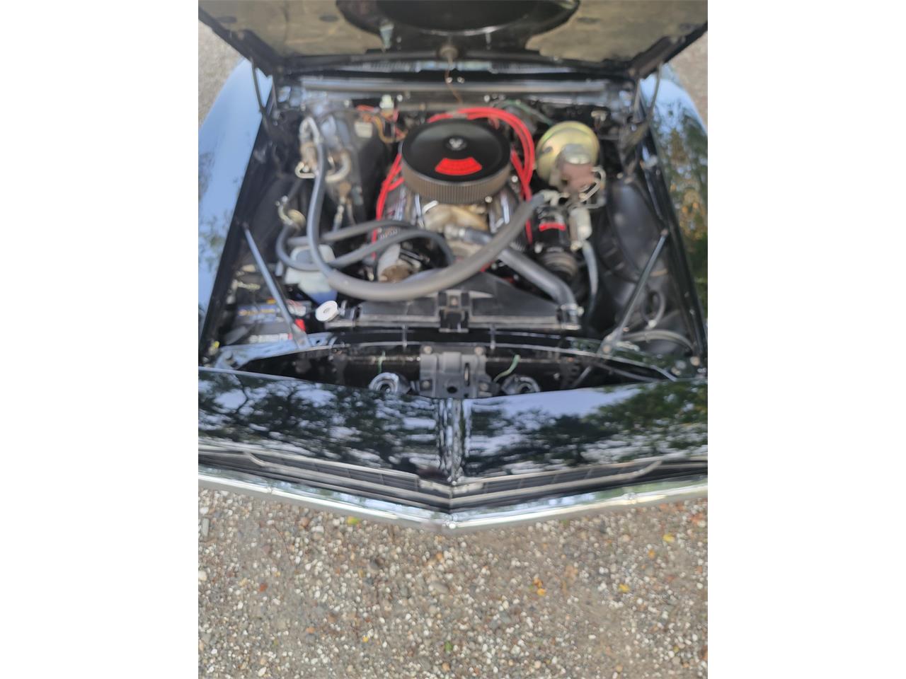 Chevrolet-Camaro-1969-Black-Black-21