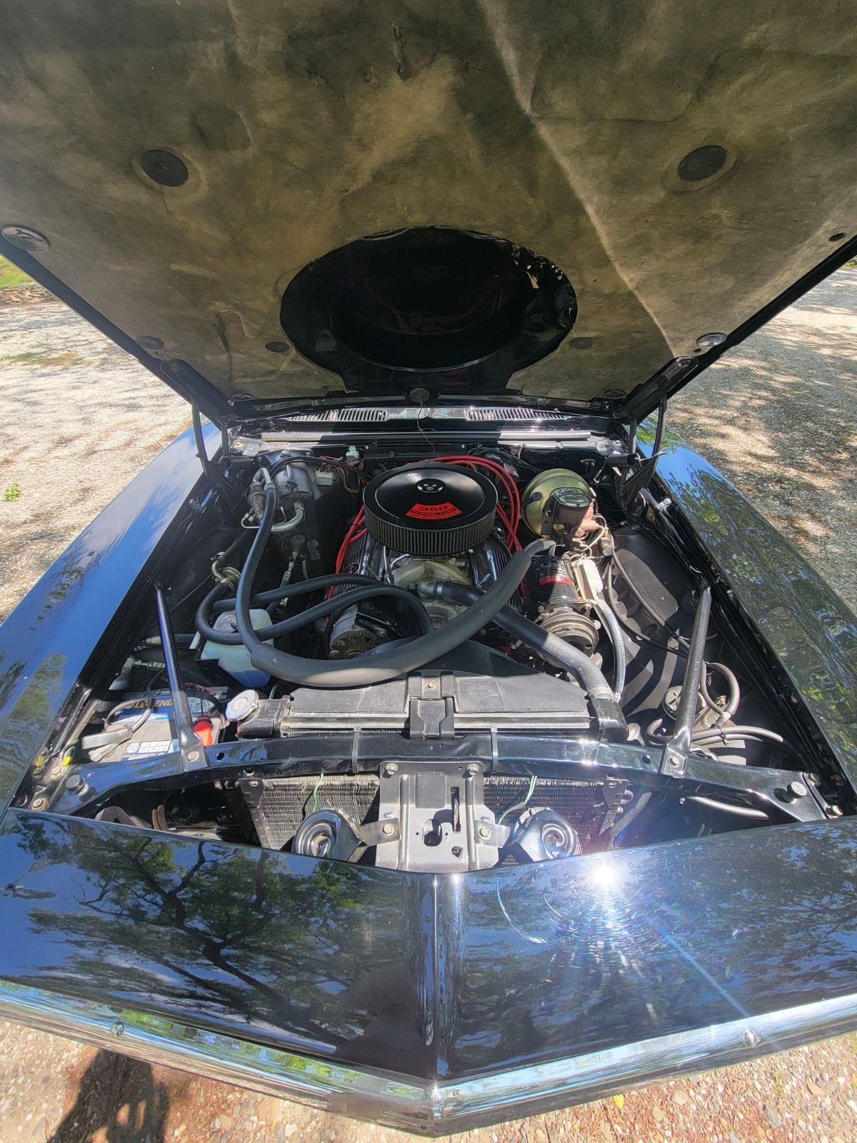 Chevrolet-Camaro-1969-Convertible-5
