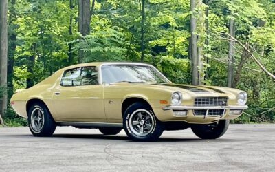 Chevrolet Camaro 1971 Original Metal MUST SEE