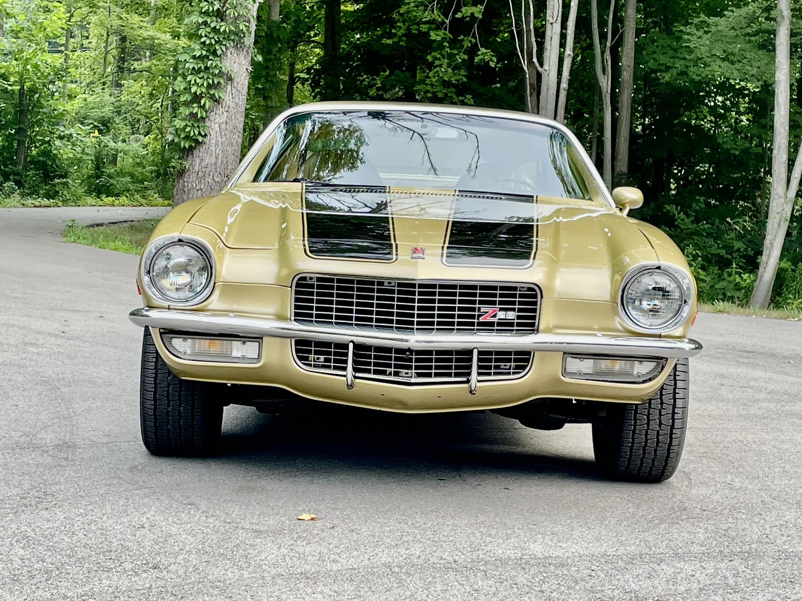Chevrolet-Camaro-1971-Original-Metal-MUST-SEE-5