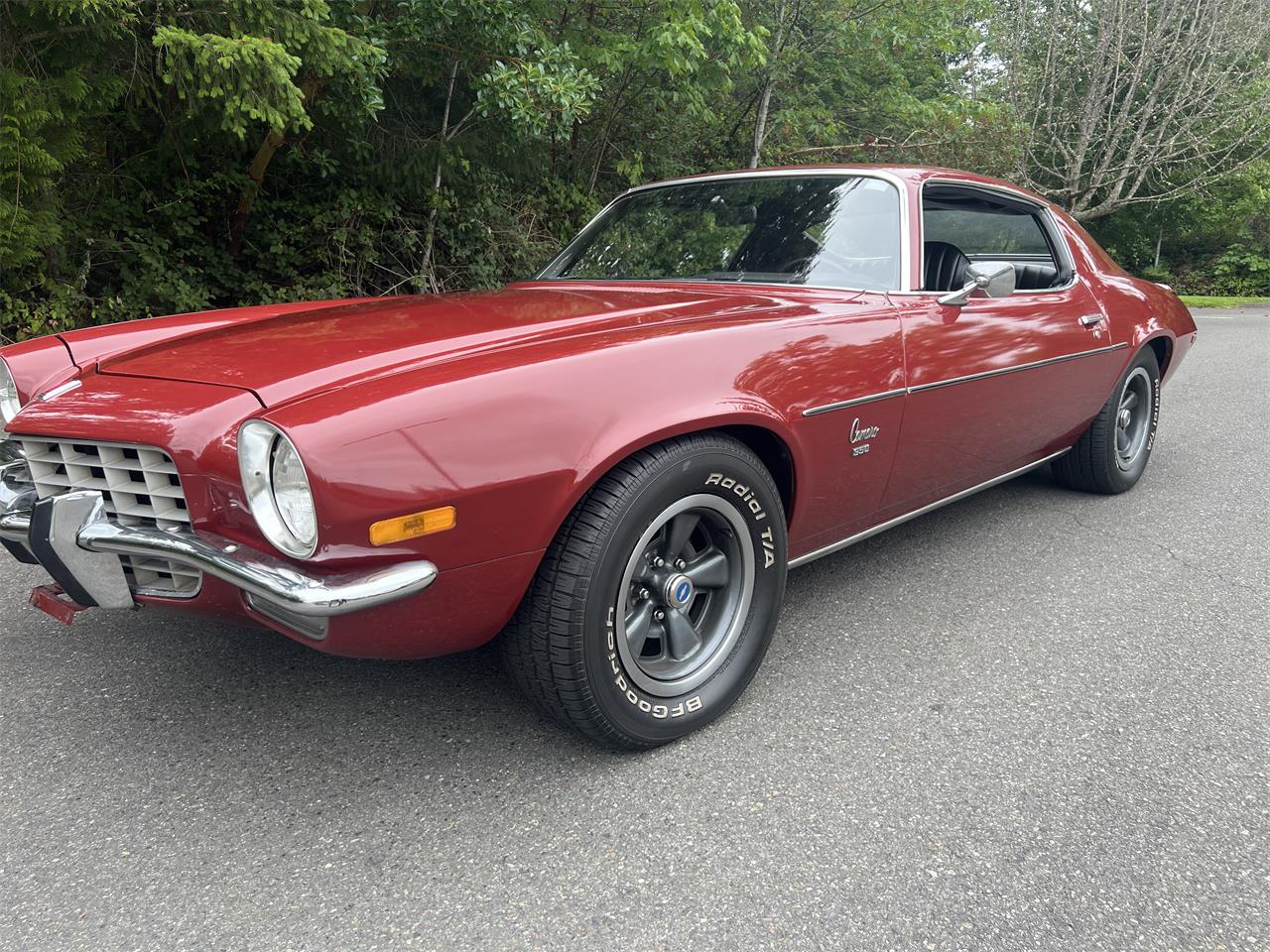 Chevrolet-Camaro-1973-Dark-ared-Black-2