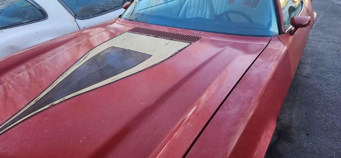 Chevrolet-Camaro-1977-Red-White-18