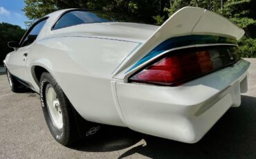 Chevrolet-Camaro-1979-Build-Sheet-Window-Stckr-25