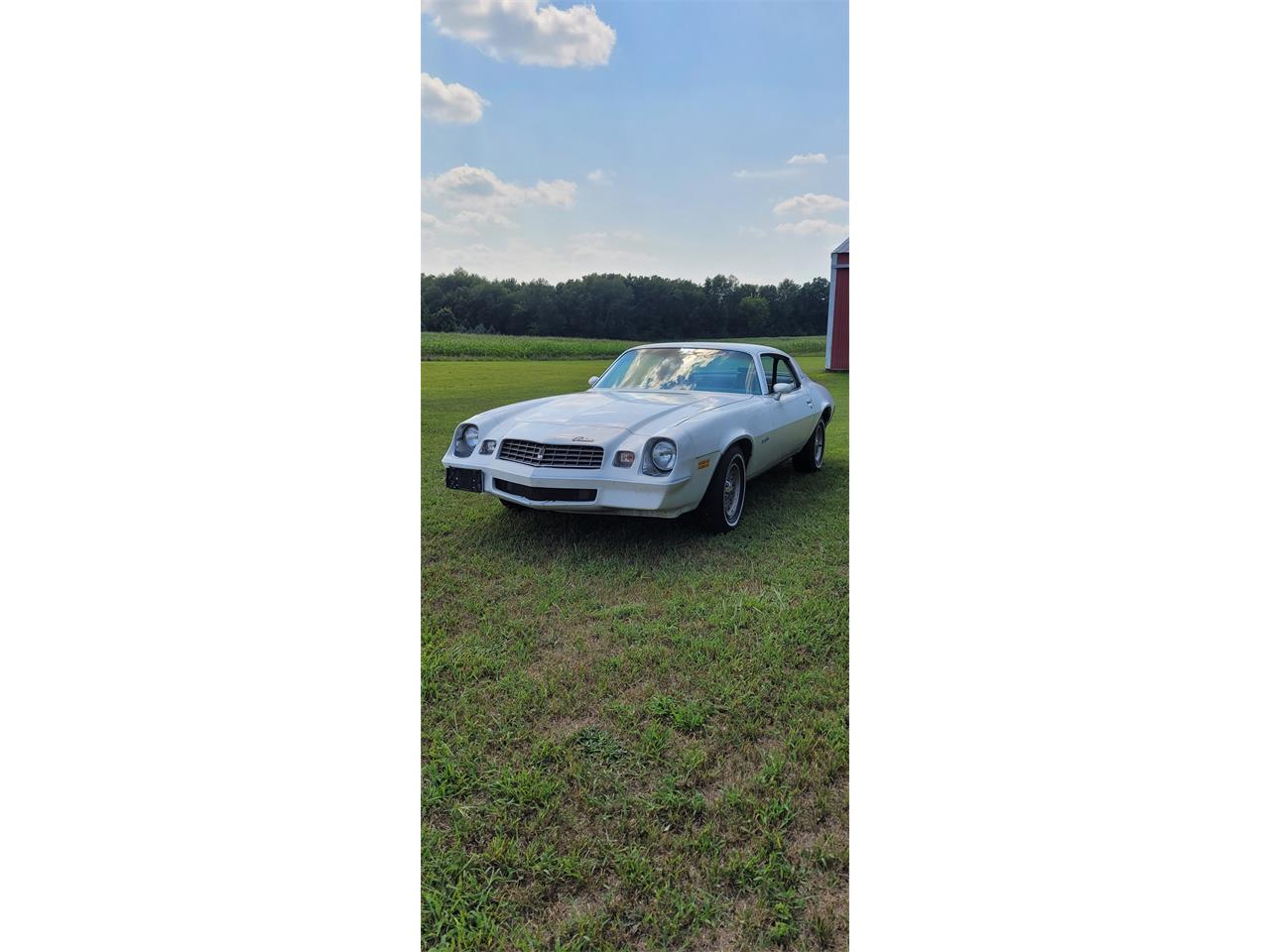 Chevrolet-Camaro-1979-White-Blue-4