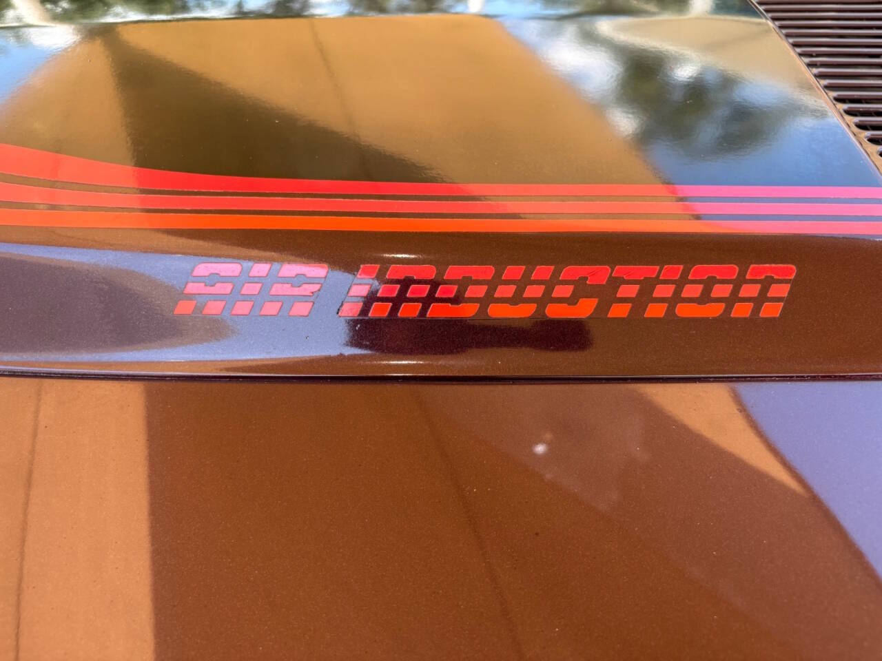 Chevrolet-Camaro-1980-Coupe-19