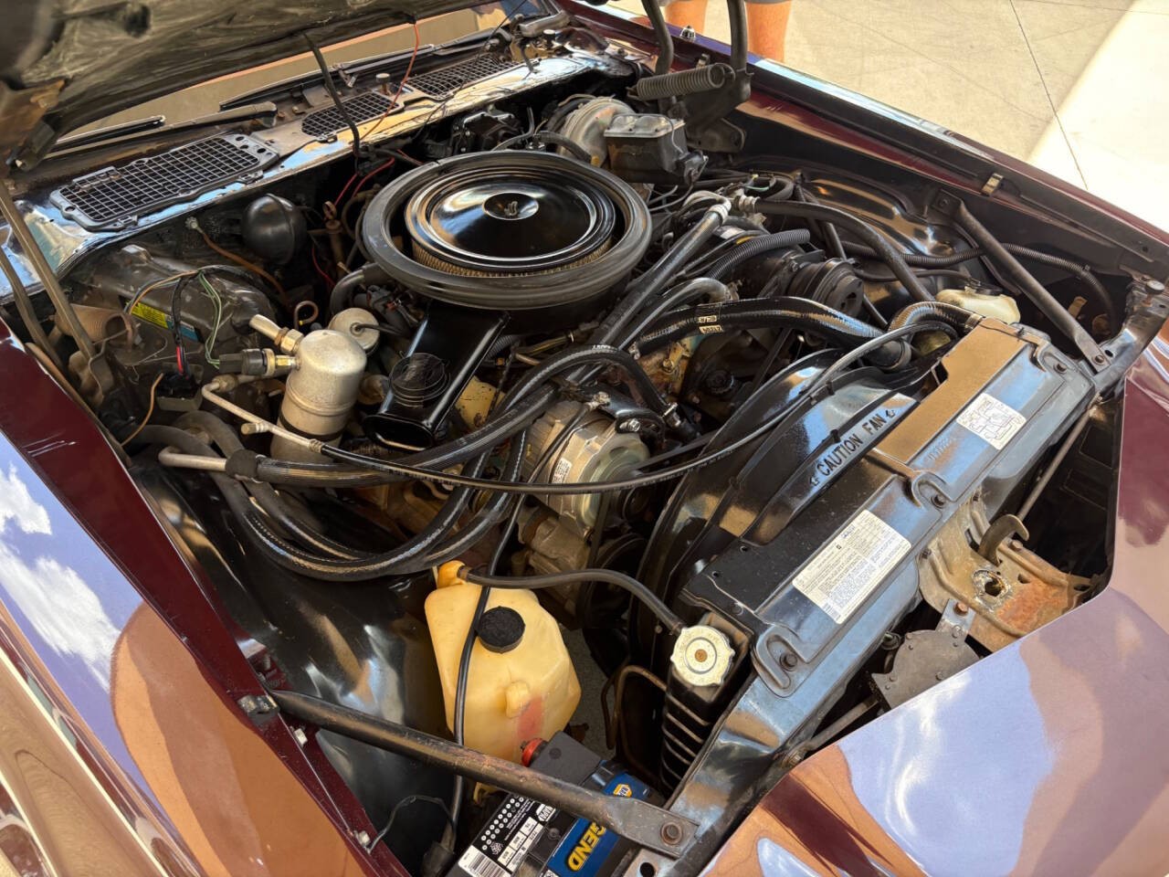 Chevrolet-Camaro-1980-Coupe-36