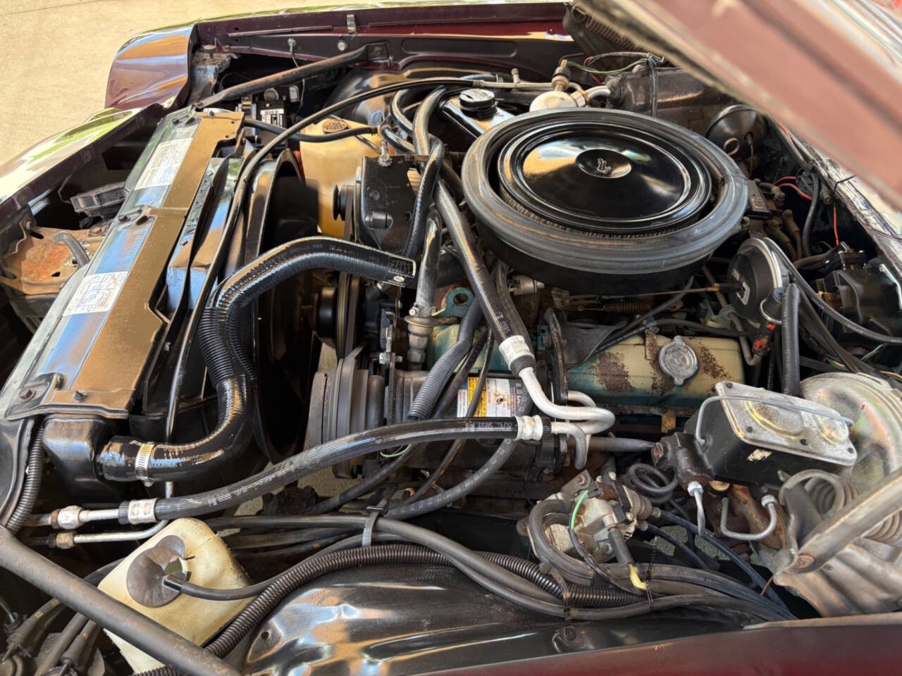 Chevrolet-Camaro-1980-Coupe-39