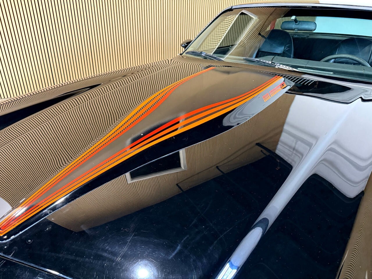 Chevrolet-Camaro-1981-American-Muscle-Car-18