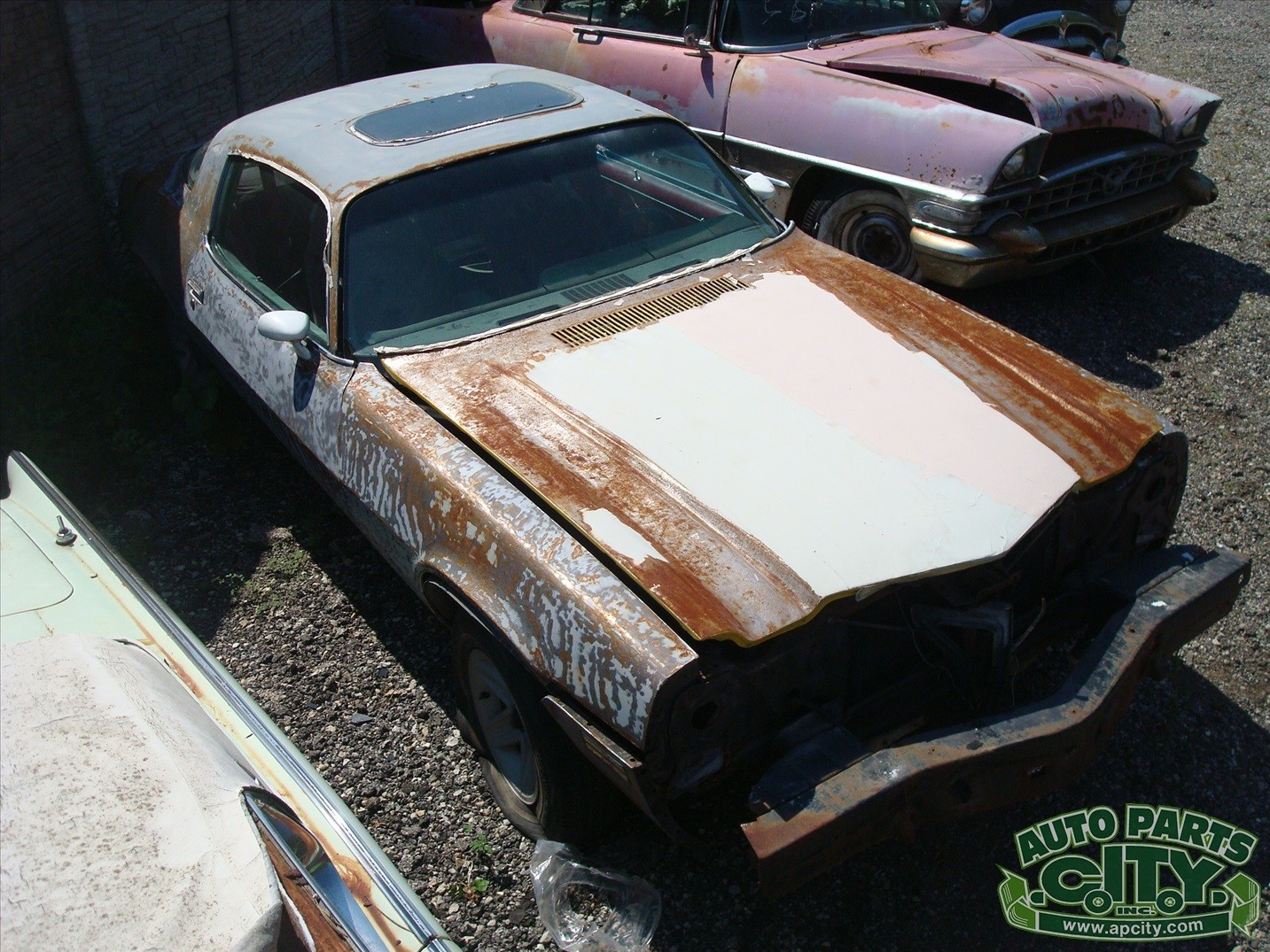 Chevrolet-Camaro-1981-Coupe-1
