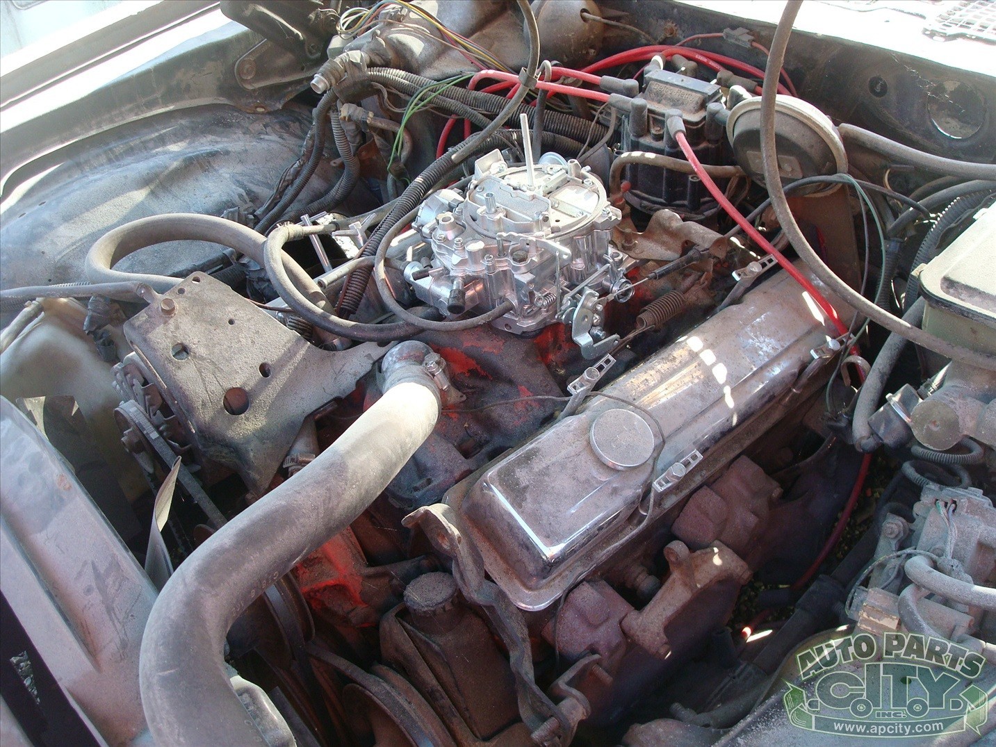 Chevrolet-Camaro-1981-Coupe-15