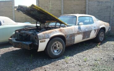 Chevrolet-Camaro-1981-Coupe-4