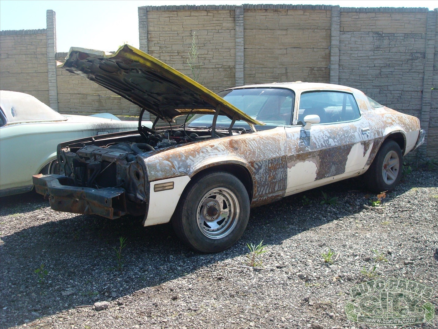 Chevrolet-Camaro-1981-Coupe-4