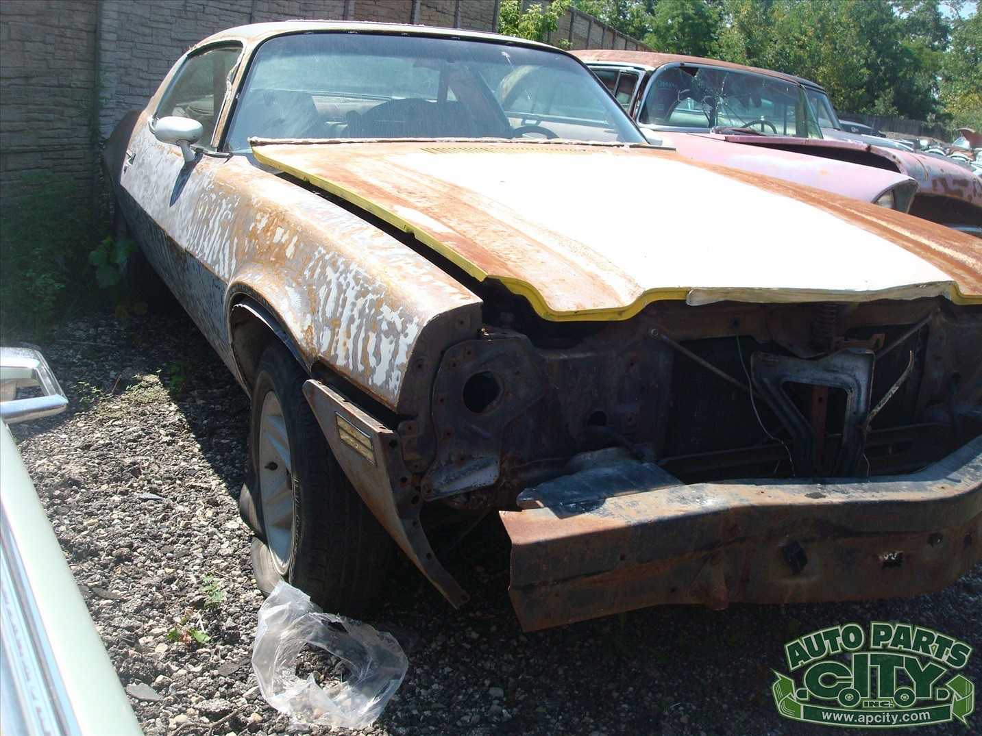 Chevrolet-Camaro-1981-Coupe-6