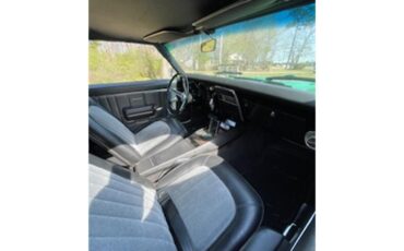 Chevrolet-Camaro-ss-1968-Rally-Green-GrayBlack-7