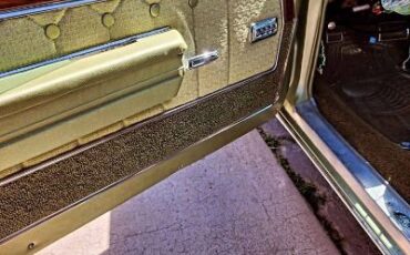 Chevrolet-Caprice-1969-Green-Green-8