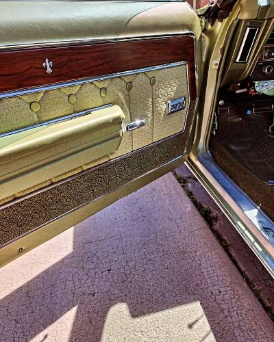 Chevrolet-Caprice-1969-Green-Green-8