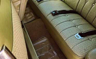 Chevrolet-Caprice-1969-Green-Green-9