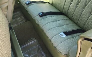 Chevrolet-Caprice-1969-GreenBlack-Vinyl-To-5