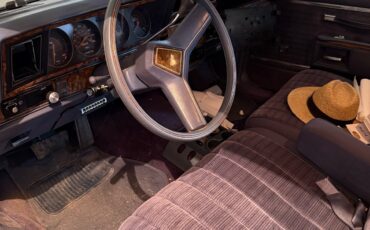 Chevrolet-Caprice-1983-Wagon-18