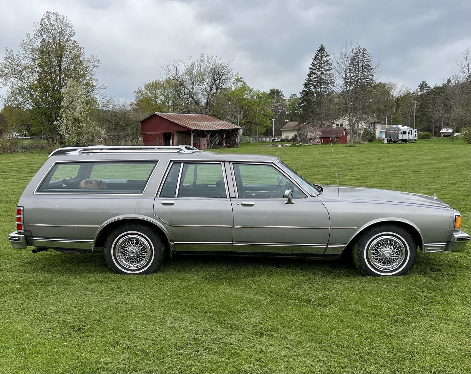 Chevrolet-Caprice-1983-Wagon-2