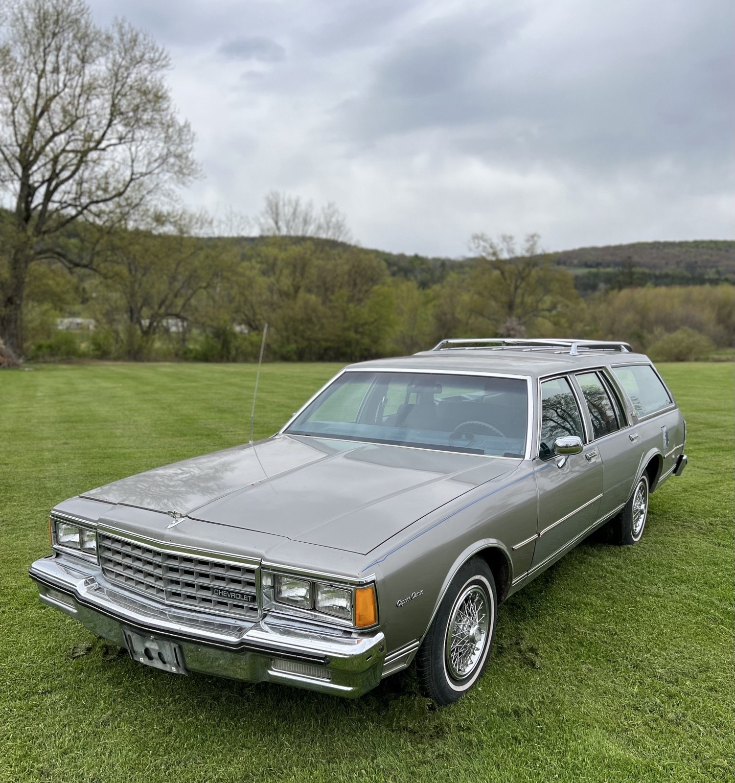 Chevrolet-Caprice-1983-Wagon-6