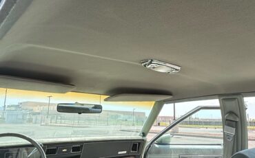 Chevrolet-Caprice-1986-Sedan-9