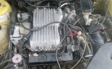 Chevrolet-Cavalier-1985-Convertible-6