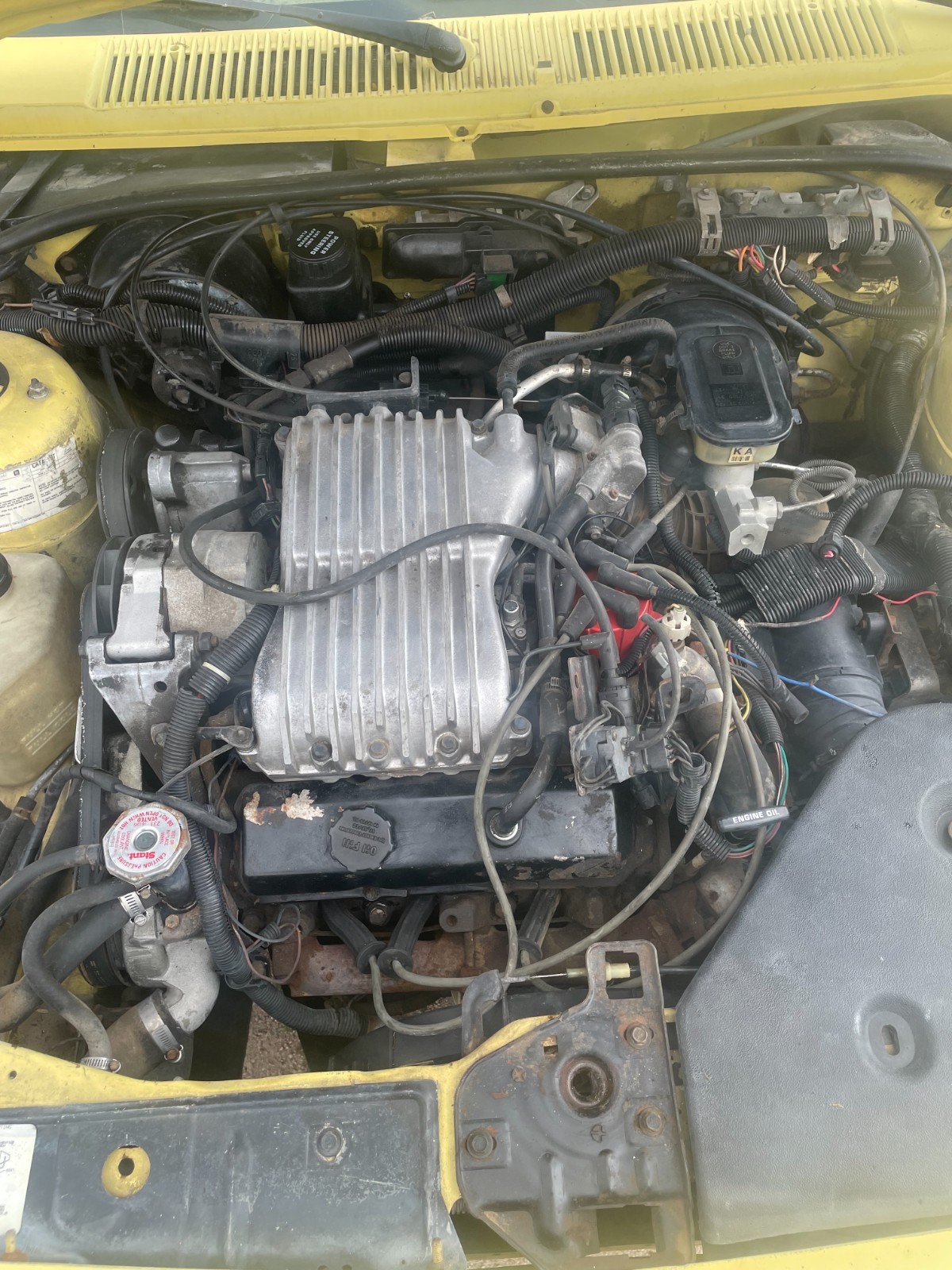 Chevrolet-Cavalier-1985-Convertible-6