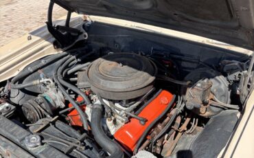 Chevrolet-Chevelle-1964-14