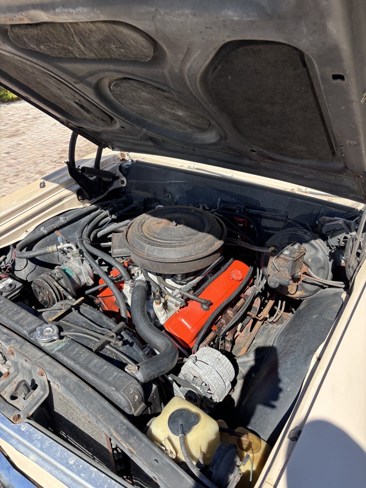 Chevrolet-Chevelle-1964-14