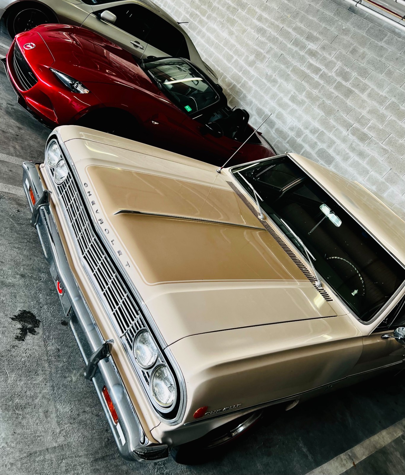 Chevrolet-Chevelle-1964-25