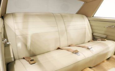 Chevrolet-Chevelle-1965-Beige-Beige-46