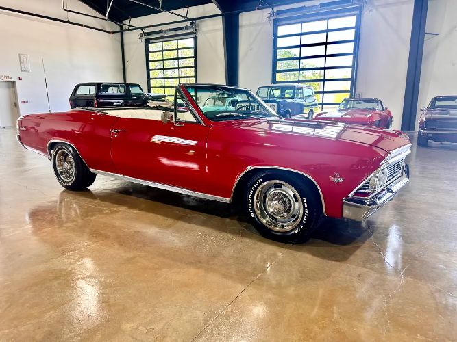 Chevrolet-Chevelle-1966-30