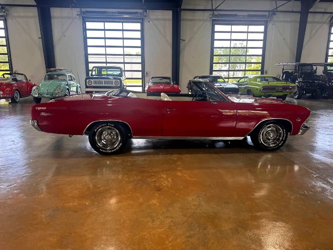 Chevrolet-Chevelle-1966-5