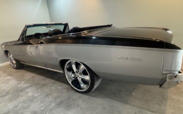 Chevrolet-Chevelle-1966-Convertible-5