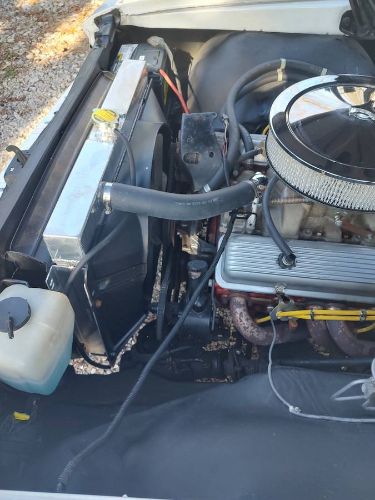 Chevrolet-Chevelle-1966-Pearl-WhiteBlack-Vi-2
