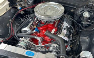 Chevrolet-Chevelle-1967-Beige-off-White-4