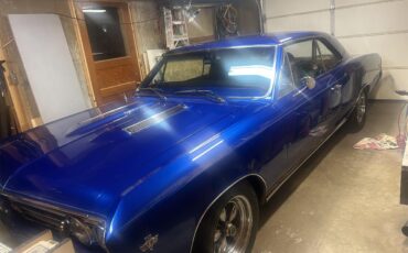 Chevrolet-Chevelle-1967-Blue-Black-3