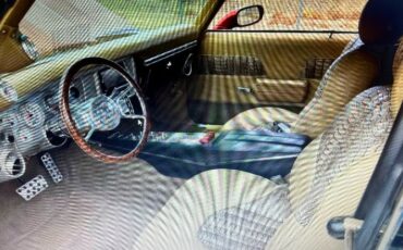 Chevrolet-Chevelle-1969-2