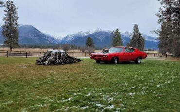 Chevrolet-Chevelle-1969-6