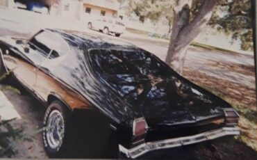 Chevrolet-Chevelle-1969-6