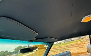 Chevrolet-Chevelle-1969-Black-Black-24