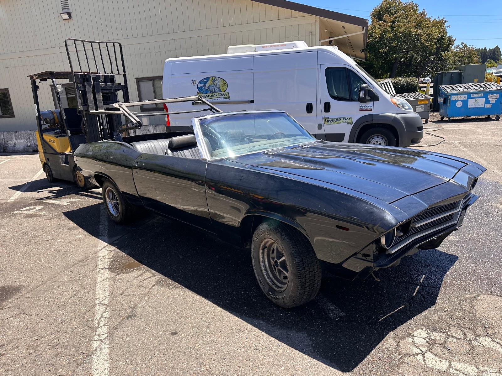 Chevrolet-Chevelle-1969-Convertible-2