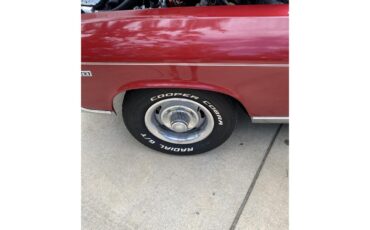 Chevrolet-Chevelle-1969-Red-Black-31