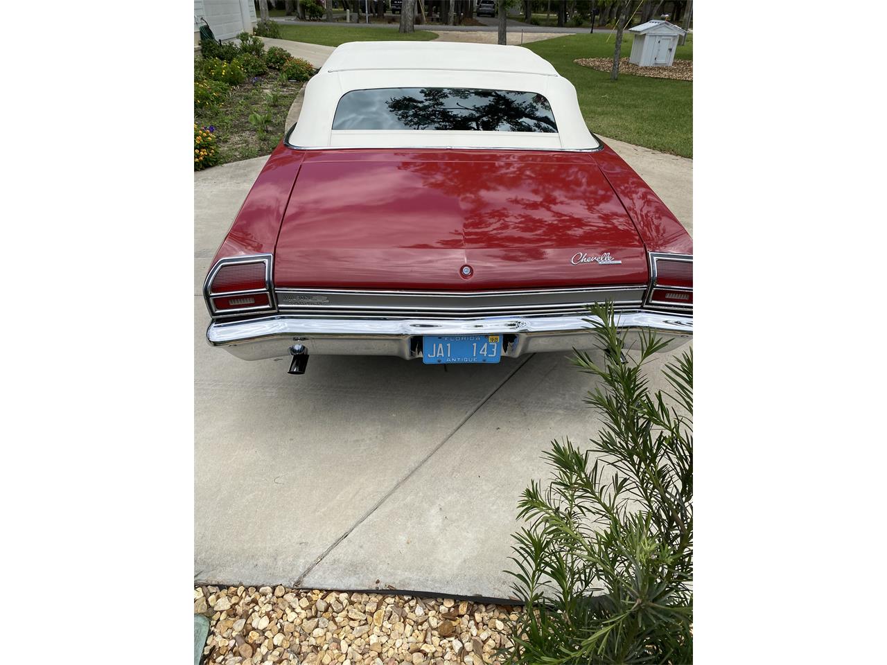 Chevrolet-Chevelle-1969-Red-Black-4