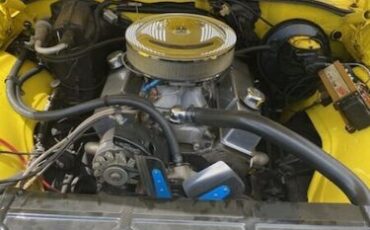 Chevrolet-Chevelle-1969-Yellow-Black-3