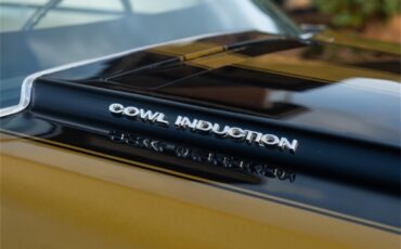 Chevrolet-Chevelle-1970-Antique-Gold-White-18