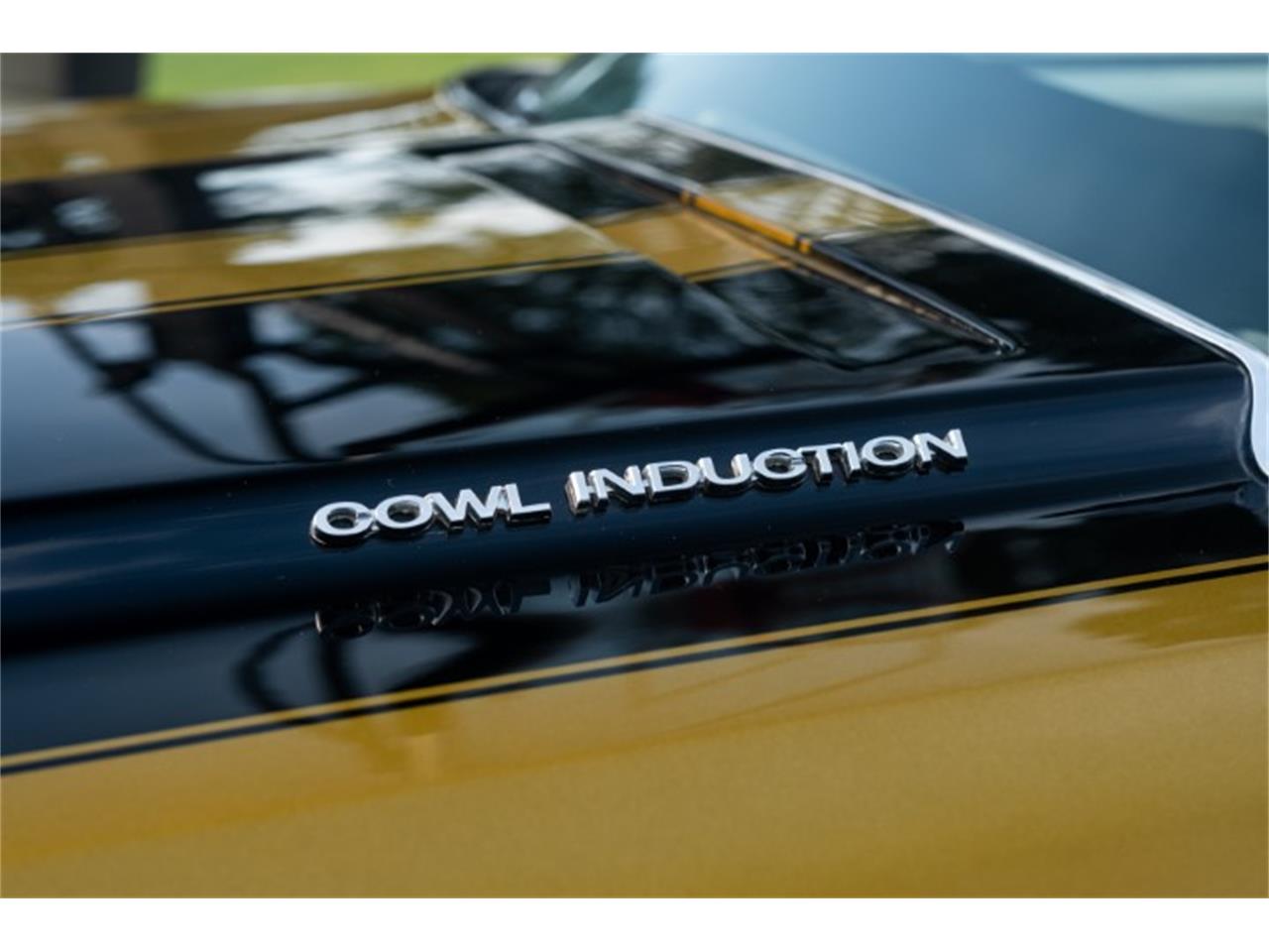 Chevrolet-Chevelle-1970-Antique-Gold-White-25