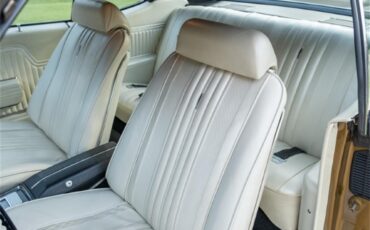 Chevrolet-Chevelle-1970-Antique-Gold-White-65
